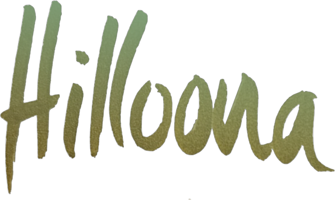 Hilloona-astiakorut